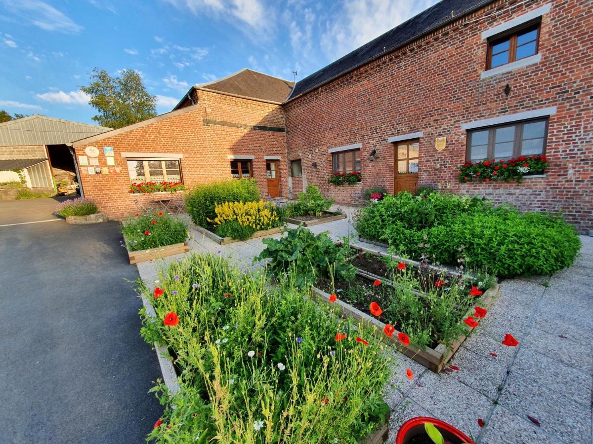Bed and Breakfast Les Mout'Anes Saint-Hilaire-sur-Helpe Exterior foto