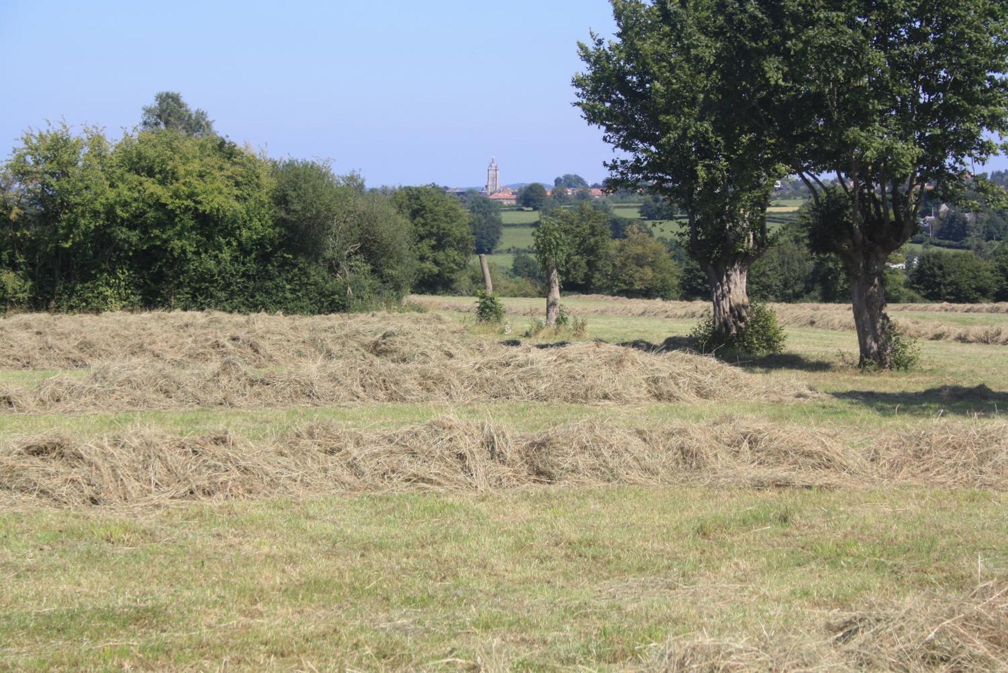 Bed and Breakfast Les Mout'Anes Saint-Hilaire-sur-Helpe Exterior foto